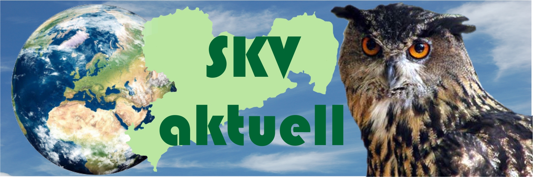 skv-aktuell