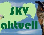 skv-aktuell